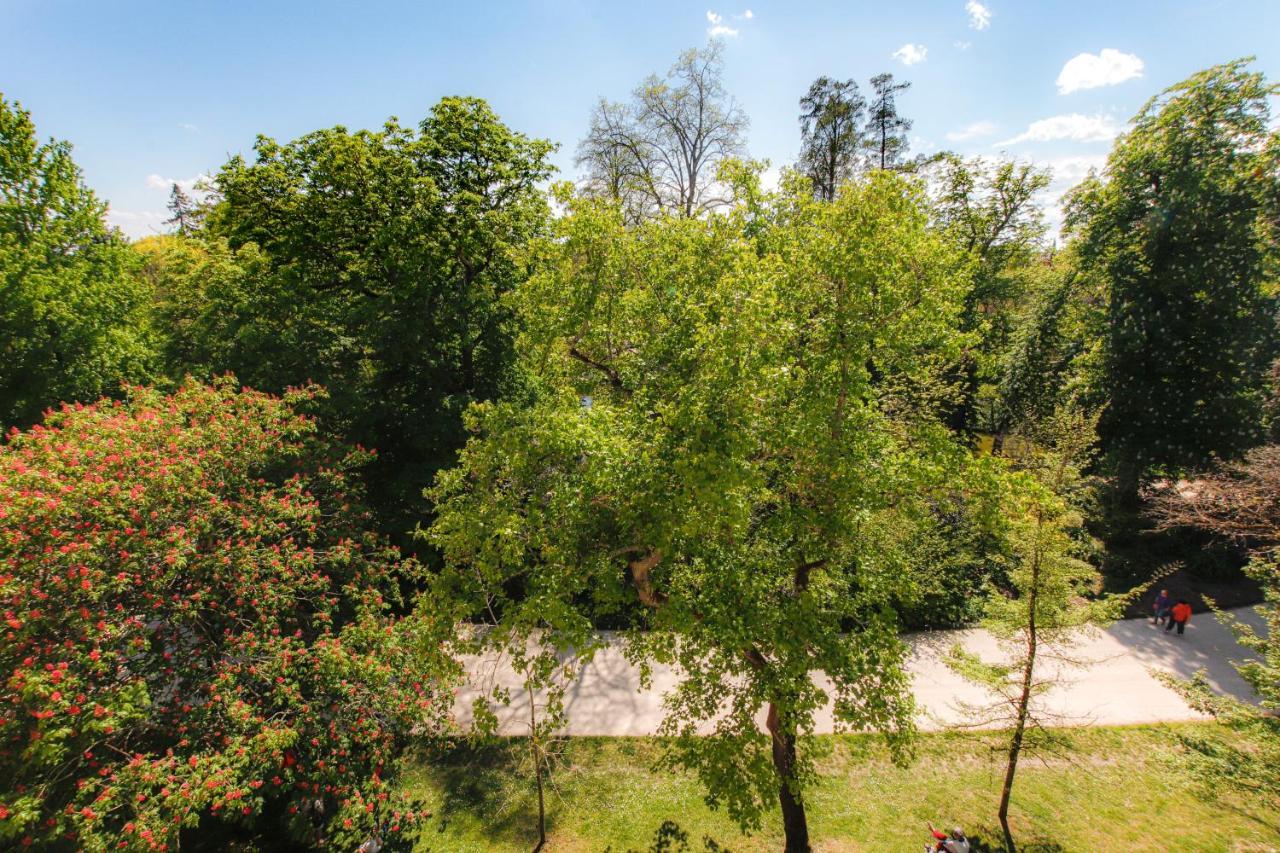 Maison Labruyere Bordeaux - Jardin Public Kültér fotó
